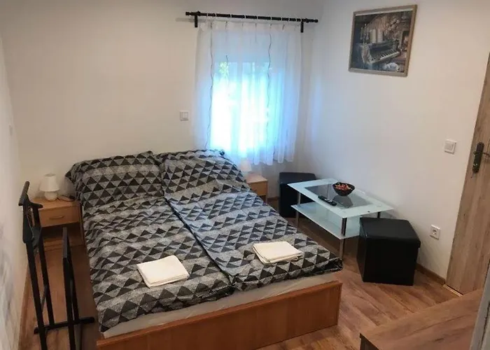 Erdi Muskatlis Vendeghaz Pensiune Erd